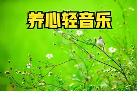 古筝养心轻音乐，疏肝健脾，调理五脏，累了就静下来听听吧视频封面