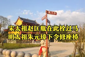 安徽怀远县万福镇找母村，竟有两位皇帝一位巾帼英雄的遗迹和传说视频封面