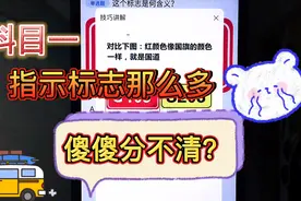 科目一指示标志那么多，总是都记不住？那是你没有用这个办法去记视频封面