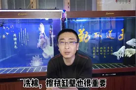 鱼缸的和水质维护，包括哪几个方面，如何进行水质维护？视频封面