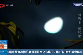 妻子尸体碳化丈夫中毒烧伤，警方发现不对劲，纵火烧妻是为何视频封面