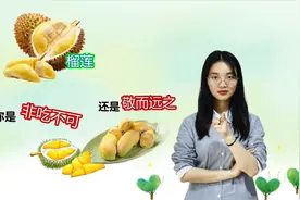 榴莲的味道让人又爱又恨，但它含有丰富的营养功效，对女性更友好视频封面