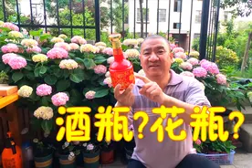 漂亮的空酒瓶、空玻璃瓶捡回家，简单妙招就可以变成花盆花瓶视频封面