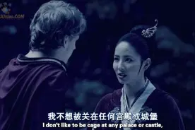 影视：罗马王子和中国公主在密林中恋爱了视频封面