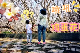 酒香也怕巷子深？西双版纳热带花卉园跟你想象的不一样，真香预警视频封面