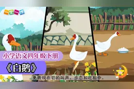 四年级下册《白鹅》小学语文课文动画教辅（一堂一课APP出品）视频封面