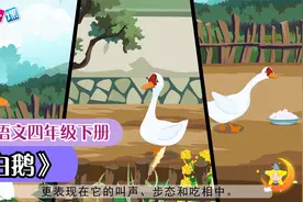 四年级下册《白鹅》小学语文课文动画教辅（一堂一课APP出品）视频封面