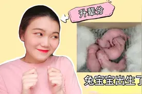 兔妈妈生产实况？！深夜接生+喂奶，我终于升辈分了！VLOG 03