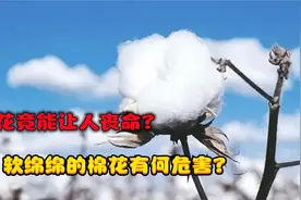 棉花竟能让人丧命？户外运动者尤其注意，软绵绵的棉花有何危害？视频封面