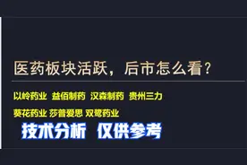 以岭药业 益佰制药 贵州三力 葵花 莎普爱思 双鹭 医药板块分析视频封面