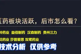 以岭药业 益佰制药 贵州三力 葵花 莎普爱思 双鹭 医药板块分析视频封面
