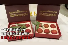 一颗价格高达55万，挂绿荔枝为何这么贵？它是真好吃还是智商税？视频封面