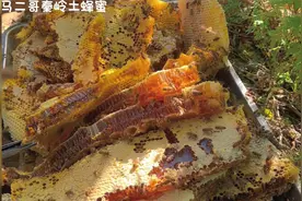 女人到了30岁,坚持每天喝杯蜂蜜水,6个好处“不期而至”视频封面