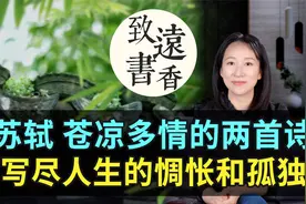 今日寒食节：苏轼两首寒食诗，苍凉多情、写尽人生的惆怅和孤独！视频封面