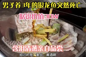 男子养3年的银@龙鱼意外死亡，含泪清蒸亲自品尝，网友：一口一万视频封面