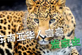 东南亚华人富豪是如何发家的？揭开背后三个骚操作（建议收藏）视频封面