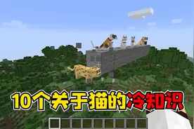 我的世界：10个关于猫的冷知识，猫从多高的地方掉下来会摔死呢