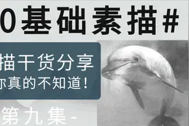 【素描教程】绘画种类你都知道嘛？今天教你分辨各种绘画种类视频封面