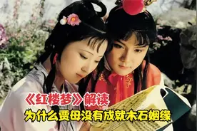 《红楼梦》解读：为什么贾母没有成就木石姻缘视频封面