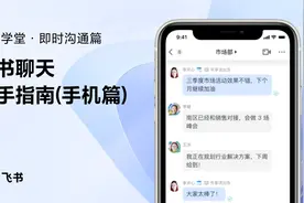 飞书新手指南：飞书聊天新手指南（手机篇）视频封面