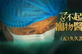 了不起的宠物医生5-狗狗患子宫蓄脓症，该怎么治？视频封面