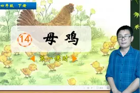 四年级下册语文《14.母鸡》第1课时，学习课文，打好语文学习基础视频封面