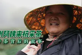 衢州阿姨来杭采茶，看龙井茶背后的故事视频封面