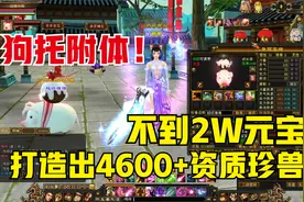 天龙八部端游:记录不到2W元宝打造出双十4600+资质顶变萌宝猪。
