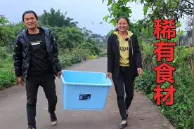 朋友寄来人工养殖娃娃鱼，红烧20分钟香辣十足，一家人吃得美滋滋视频封面