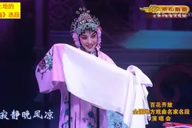 优秀青年演员刘扬演唱的吉剧《桃李梅》选段视频封面