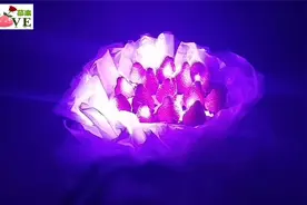 配送生日蛋糕：草莓花束蛋糕，给女朋友甜蜜的生日礼物，如梦如幻视频封面