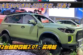 中大型SUV才10-20万左右，不香？有2台越野四驱2.0T，买得起视频封面