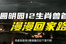 圆明园12生肖兽首回家路，7个已归队，还有5个在哪呢？视频封面