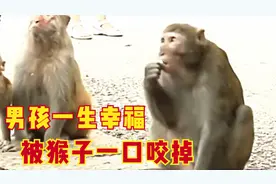 男孩去公园上厕所，被猴子咬伤毁掉后半生，负责人：这不怪我们！