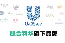 全球日化巨头“联合利华”旗下品牌大全，周小百说百科~视频封面