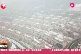 石家庄削山建别墅事件发酵，整而不治，相关部门难辞其咎！视频封面