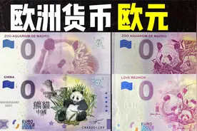 全球货币系列之欧洲欧元：从未见过的0欧元，上面还有我们的熊猫视频封面