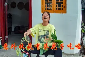 燕子和婆婆清理大蒜种后，去摘三哥种来观赏的向日葵，有意外收获视频封面