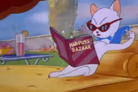 猫和老鼠：女神猫太美了，深深吸引了汤姆，汤姆一直献殷勤视频封面