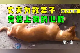 丈夫为救妻子，竟装上狗狗的心脏，妻子成功复活视频封面