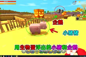 迷你世界33：我从仓库提取生物蛋，成功孵化了几只企鹅，还有猪，