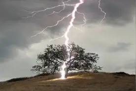 雷电为什么能把树击倒，木头不是绝缘体吗？今天终于知道了！