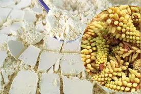 松花粉怎么破壁，教你一个简单又实用的方法，关键还不营养流失视频封面