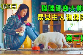 猫咪秒变大帅哥，帮女主人物理降温，韩剧《快过来》视频封面