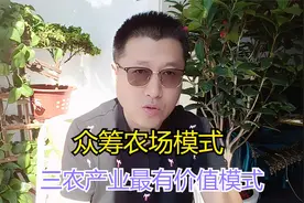 三农产业众筹农场模式为什么是返乡创业最成功的模式？视频封面