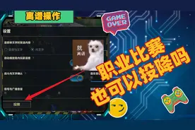 职业选手比赛投降，完全失去了电子竞技的精神视频封面