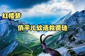 著名小说【红楼梦】之俏平儿软语救贾琏。全集视频封面