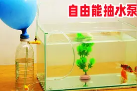 用塑料瓶零成本制作水族缸“无动力水循环水泵”，它的原理谁知道视频封面