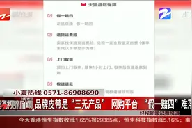 品牌皮带是“三无产品”网购平台 “假一赔四”难落实？视频封面