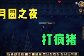 饥荒实况第五期，建立简易农场.月圆之夜打疯猪视频封面